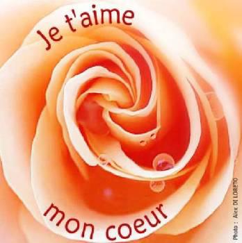 amoure